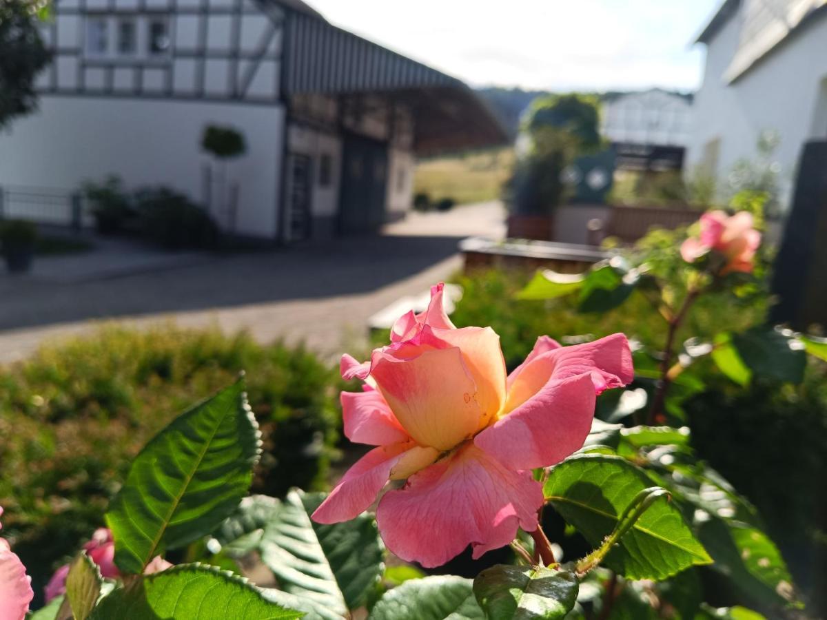 Kleine Auszeit Appartement Eslohe Buitenkant foto